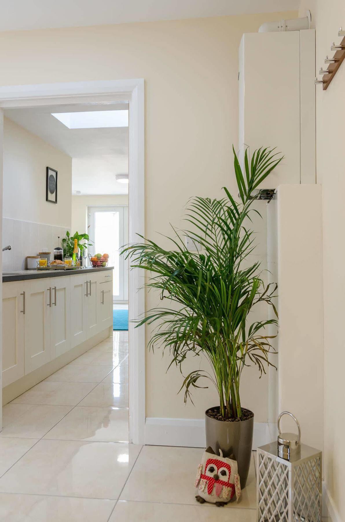 Giant Serviced Apartment